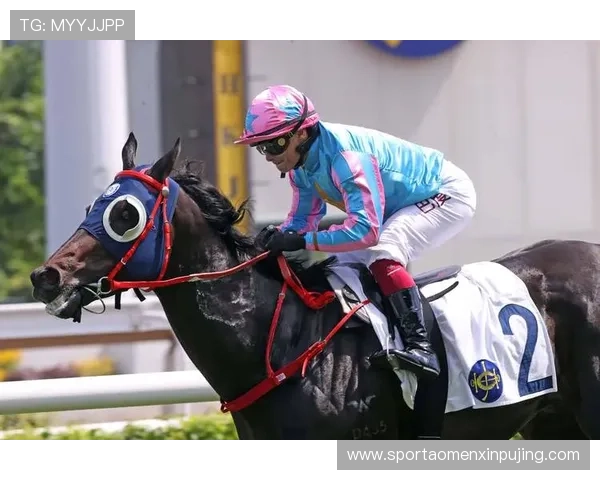 在hkjc官方网站上学习香港赛马会的投注规则与最新优惠活动